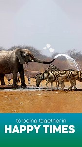 Friendship knows no bounds, not even in the animal kingdom! Celebrating today with these adorable animal pairs who show us that bonds can be found everywhere. Tag your unlikely duos and let them know you cherish the special connections you share! #SBBCE #FeelAlive #Topical #Animals #Wildlife #Nature #Earth | Sony BBC Earth