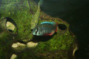 1K views · 64 reactions | I thought I had captioned this, oops. My...