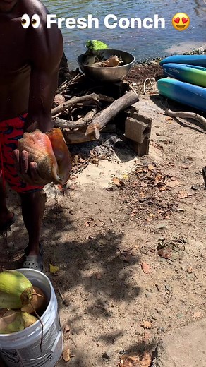USVI - Coki Beach‼️ Fresh Conch‼️ #conchshell #FreshConch #islandlife #usvirginislands #beachlife #nopassportrequired | Marcus Baecation Sparkman
