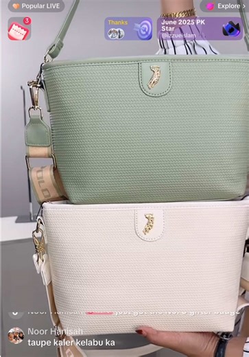 Precious Handbag on TikTok