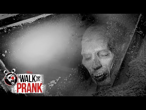 Zombie Pilot | Walk the Prank | Disney XD