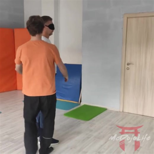 Blindfolded no touch takedown Check out our YouTube channel to learn about martial arts frauds and cults: Youtube.com/McDojoLife Sponsored by: Monkey Tape (15% off code: MCDOJO15) Empowering everyday athletes to prevent injury, recover faster, and play harder. #martialarts #systema #mma #jiujitsu #McDojo #McDojoLife | Mcdojolife