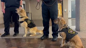 1.1K views | Cuyahoga County on Reels | Facebook