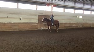Racers wp rail class | Northern Hart Equestrian