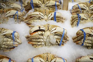 West Coast Crab Fishermen Sue Big Oil Over Climate Change
