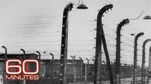 The Holocaust s youngest survivors: Born in a labor camp, on a death train, in a concentration camp | Shai Stern