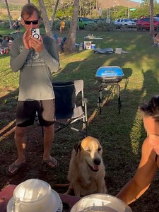Maui Surfer Girls on Reels