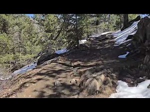 Bear Creek trail to Panorama point