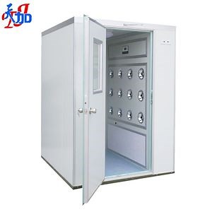 [Hot Item] High-Performance Air Shower for Cleanroom Applications in SS304/316