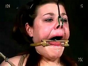 INSEX - Interrogation