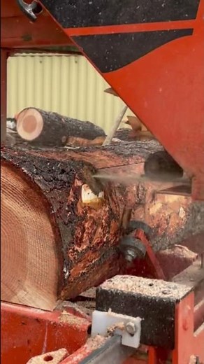 Woodmizer LT15 Milling Douglas Fir Logs