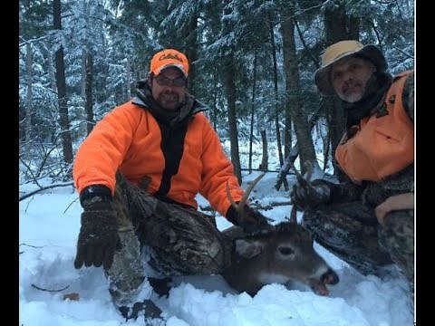 VT deer 2018 video