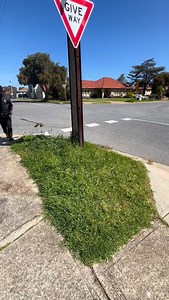 11K views · 203 reactions | From wild to tidy ✂️ Gave this overgrown...