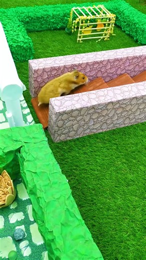 6.1K views · 134 reactions | Hamster Princess Castle Shorts 慄 Homura Ham | Homura Ham | Facebook