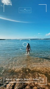 One of the most incredible snorkeling spots on this planet is located on the North Shore of Kauai, at Makua (Tunnels Beach) where you will discover sea caves, full of sea life; turtles included. 🐢 🐙 🐠 Check out some of our advance purchase offers and book your trip early to save more: https://bit.ly/3G9c65o | OUTRIGGER Kauai Beach Resort & Spa