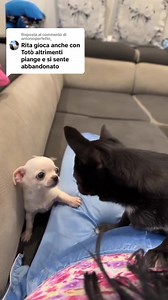 Manca la femminuccia 🎀 | Svergognata