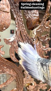 Oiling the iron work of our lovely gate made by @leigh_dyer to slow the rust process. | The Albion
