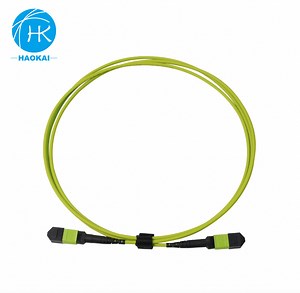 [Hot Item] MPO MTP Female Fiber Optical Patch Cord with Om5 Fiber Optic Cable