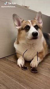 2.4K views · 139 reactions | Mucho sol , mejor me pongo los lentes | Firstmed Peru | Facebook