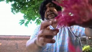 ❤ ITS TACO TUESDAY - QUEENS NEWEST CRAZE! ==========================  $2 TACOS  $2 FROZEN MARGARITAS (4p - 8pm) #tacotuesday #mamajuanacafequeens | Mamajuana Cafe Queens | Facebook