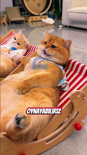 Kid and Kokoş Watch Table Tennis