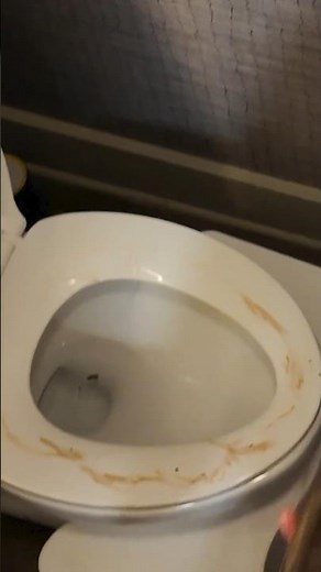 🚽 Pelvic Floor Danger: Should You Squat Over the Toilet? #pelvicfloor #toilet #bladder