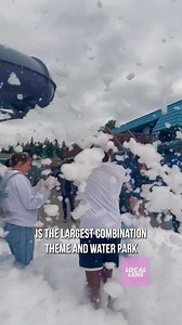 11 reactions | Local Lens Seattle on Reels | Facebook