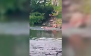 Cocodrilo de 3 metros ataca a una mujer en Tampico | Video