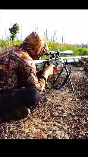 Menembak burung bebek ada di danau rawa