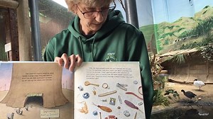 2.2K views · 55 reactions | Hi all! We hope you take a moment and enjoy Bay Beach Wildlife Sanctuary Naturalist Kim reading Those Darn Squirrels! Tomorrow we will have a video of one of the squirrel ambassadors in action! Are you seeing any squirrels where you are? Stay safe and we hope to see you all soon! #WeAreInThisTogether #BayBeachWildlifeSanctuary #ThoseDarnSquirrels | Bay Beach Wildlife Sanctuary | Facebook