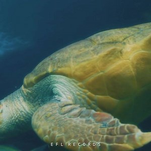 16K views · 603 reactions | Esta rolita es buena  Jonas Blue - Perfect Stranges  | EFL Hard | Facebook