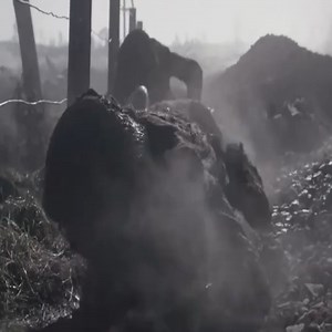 Battle of Walcheren Causeway - The Forgotten Battle | Movies Guild