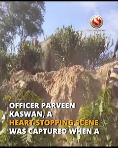In a video shared on social media by Indian Forest Service (IFS) officer Parveen Kaswan, a heart-stopping scene was captured when a massive elephant charged towards a group of men. The footage, captured in Assam, showcased the dangerous encounter, raising concerns about human-wildlife interaction. The video apart from becoming viral has also sparked a debate on social media, with many expressing shock at the audacity of the men involved. | The Sentinel | Facebook