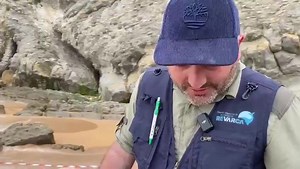 Cómo sabemos que es un calderón común | El Diario Montañés