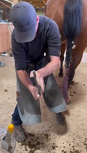 17K views · 1.3K reactions | It was farrier time for my horses this week! One of my favorite things to watch. C.S. Professional Horse Shoeing #barnlife #farrier #horseshoes | Double Z Farm | Facebook