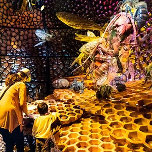 90K views | California Academy of Sciences on Reels | Facebook