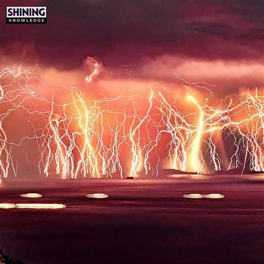 15K views · 178 reactions | 6 mind-blowing natural events in the world | Shining Knowledge | Facebook
