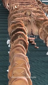 this is real #physiotherapy #plastination #medicine #humanbody | روضة دار الفردوس بأسيوط ــ التابعة لمجموعة مدارس ٣٠ يونيو | Facebook