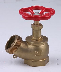 [Hot Item] Dry Riser Landing Valve