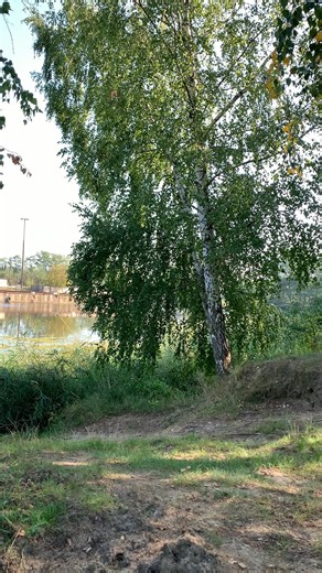 18K views · 388 reactions | A fost vara în care am învățat că...