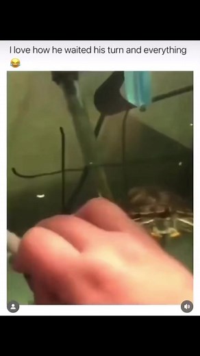 157K views · 1.7K reactions | Richie Roller on Reels | Facebook