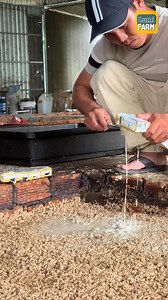 356K views · 3.2K reactions | Why do Vietnamese farmers raise flies...