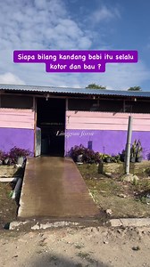 10K reactions · 802 shares | Menjaga kebersihan adalah kunci utama kandang tidak bau dan kotor.#salampeternak | Mala Sihombing | Facebook