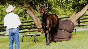 Meet Road to the Horse 2024 Wild Card Challenge Competition John Baar. You'll love his passion! 🐴 | Road to the Horse