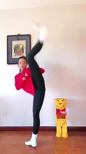 Very beautiful . Kick balance practice! Kick name ❤️ | Karate Science