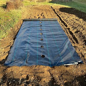 [Hot Item] Black Color with Green Line Coconut Fiber Weed Control Mulch Mats Tree Agricultural Mat Felt Woven Fabric Weed Mat