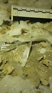 2.2K views · 99 reactions | Amazing Selenite Crystals Deep In A Tennessee Cave | TAG Caver | Facebook
