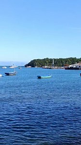 12K views · 514 reactions | Armação dos Búzios  Alessandra Gonçalves | Jonas Silveira | Facebook