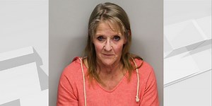 K9 sniffs out 50 grams of meth during traffic stop