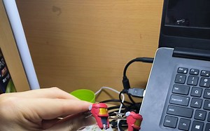 下期预告 沙扎比